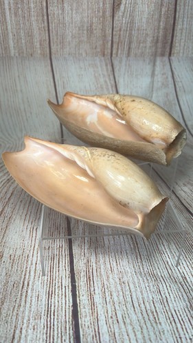Vintage rare pair large - vintage,