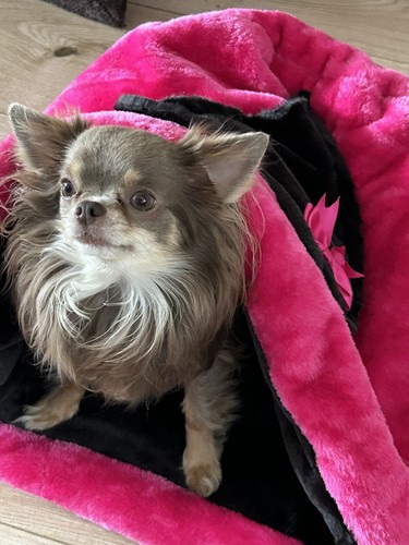 Luxury faux fur pink - pink, snuggle