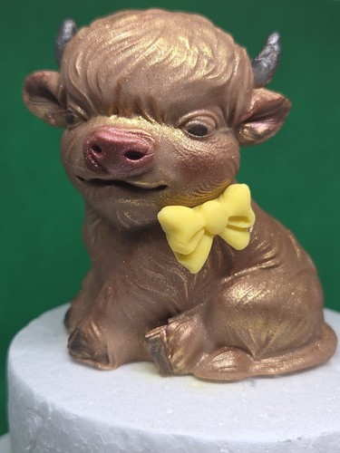 Edible fondant highland cow - highland,