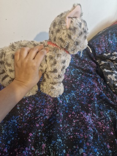 Soft toy cat for kids - toy,