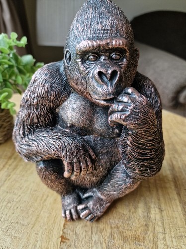 Sitting brutus the - the,