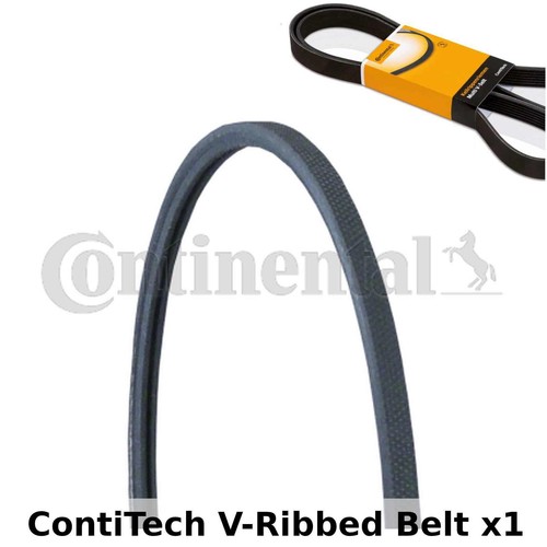 Contitech ribbed belt - v-ribbed,