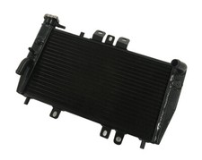 Aluminum racing radiator - aluminum,