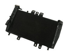 Aluminum Racing Radiator