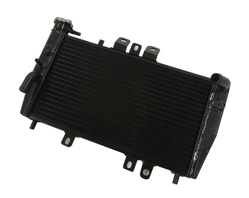 Aluminum racing radiator - aluminum,