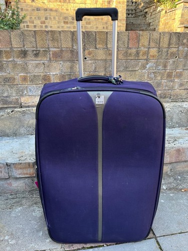 Plum medium sized - plum,