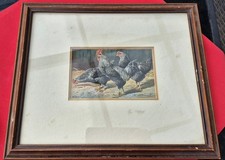 LONDON COUNTY COUNCIL REWARD CARD Framed - 3 Wyandotte Chickens