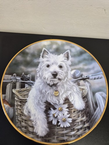Westie collection hitching - collection, a