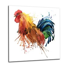 Kitchen Glass Splashback