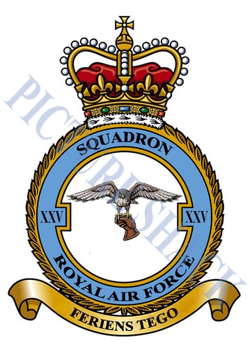 Raf squadron badge metal - raf, on