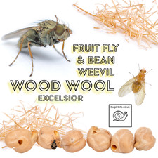 Wood Wool Excelsior, Fruit Fly