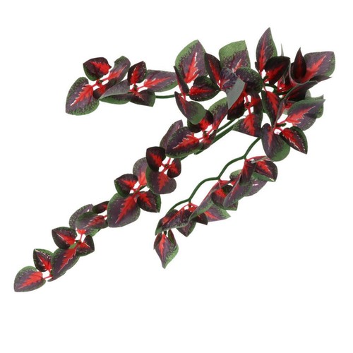 Reptile vivarium jungle ivy - reptile,