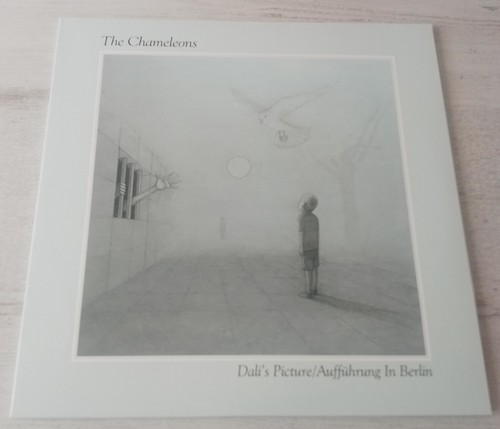 The chameleons dali - -, dali’s