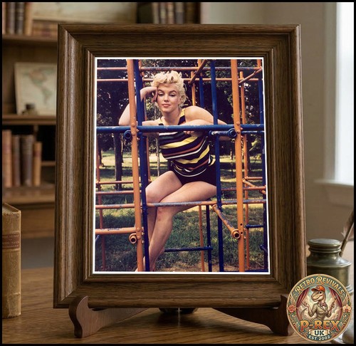 Marilyn monroe lab printed - ,