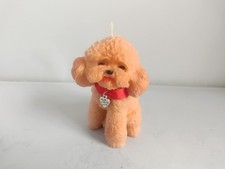 cute Apricot cockerpoo poodle