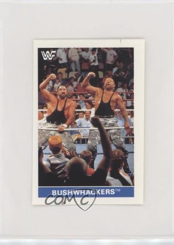1991 diamond publish wwf - 1991,