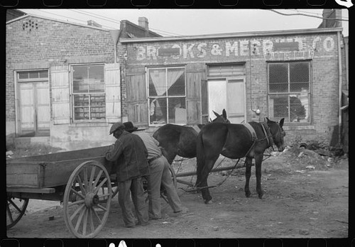 Photo 1930s brooks merdith - photo:1930s,