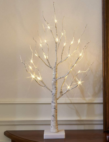 White birch tree - tree, table