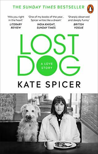 Lost dog - lost,