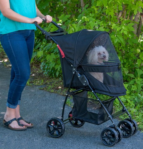 Pet gear zip happy - pet, trails