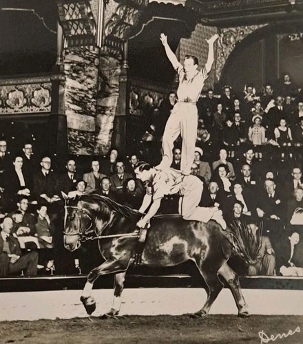 Circus blackpool tower acrobat - circus,