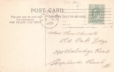 FAMILY HISTORY - GENEALOGY -