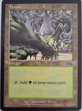 Forest (350) - Urza's Saga - MTG