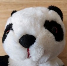 Sue soo Golden Bear 2018 Hand