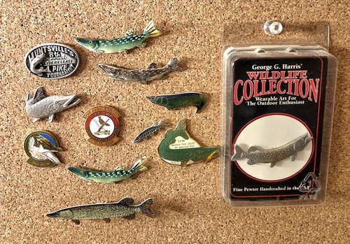 Vintage northern pike - 12, fish
