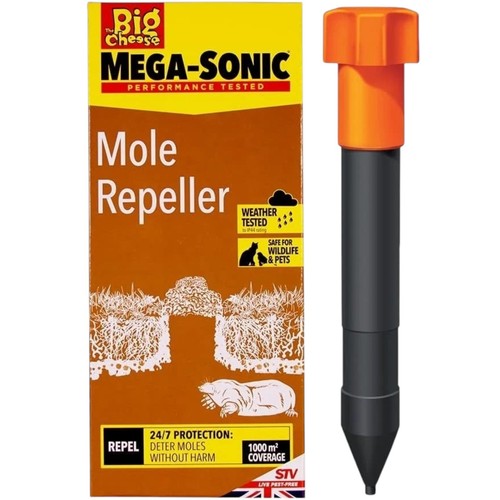 Big cheese mega solar mole - cheese,