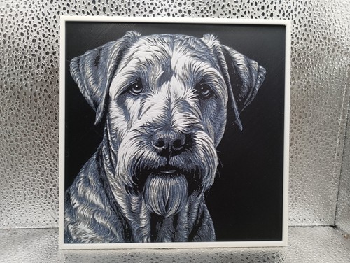 Soft coated wheaten terrier - soft,