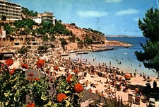 Mallorca : Vintage Postcard.