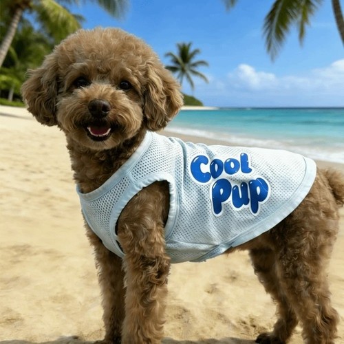 Pet dog cooling vest - pet,