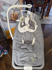 Joie Meet Dreamer Rocker Fern