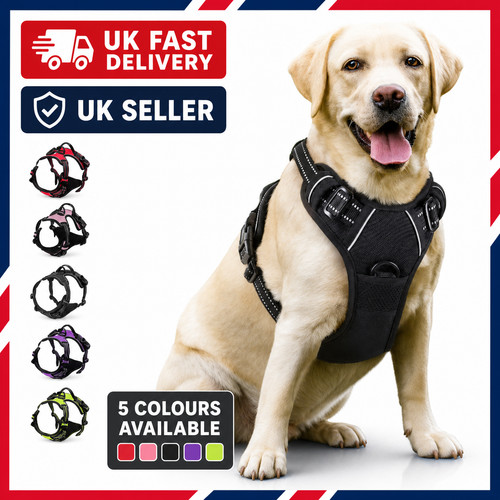 Reflective pull dog - reflective, harness