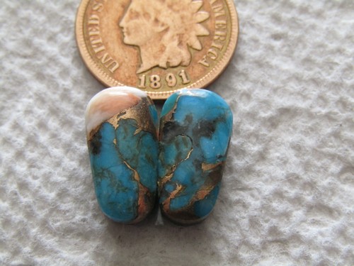 Spiny oyster shell mojave - spiny,