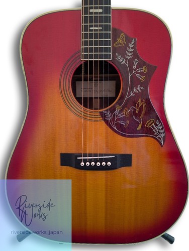 Suzuki hummingbird 250 - suzuki,