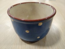Blue and White Polka Dot Bowl