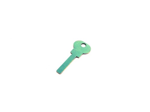 Cam chain tensioner adjuster