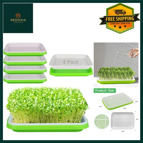 Microgreens sprouting trays - sprouting,