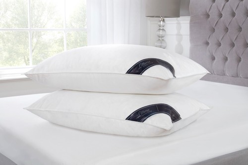 Hotel quality goose feather - quality,