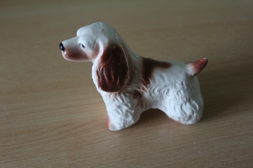 Cocker spaniel china - ,