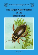 The Larger Water Beetles of