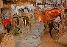 Picture Postcard- Mallorca, Porto Cristo, Cuevas Hams, Valle De Las Delicias