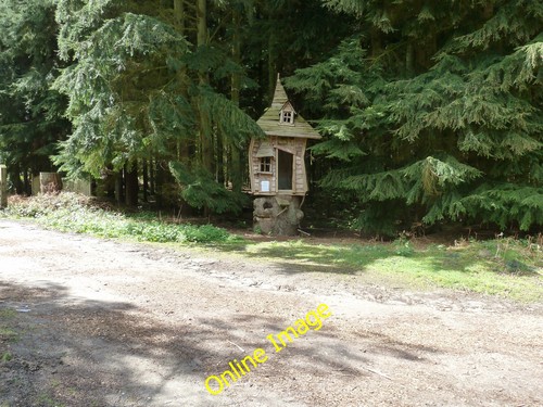 Photo 6x4 small tree - 6x4,