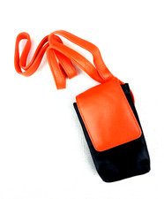 Protective Padded Case / Carry