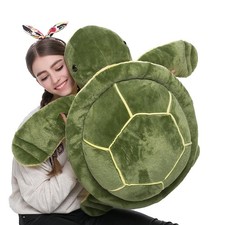 Turtle Turtle Simulation Of