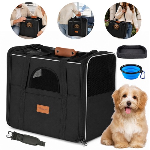 Pet dog cat - cat, portable