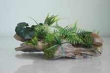 Aquarium Detailed Wood Garden