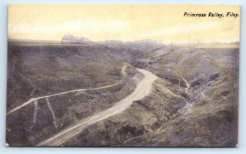 Postcard filey primrose - postcard,